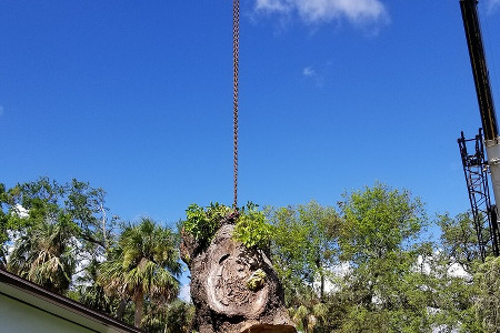 Crane Service and Tree Removal in Melbourne, Florida