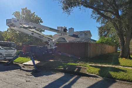 Tree Trimming and Tree Removal service in Rockledge, Florida