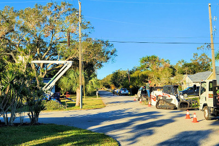 Tree Trimming and Tree Removal service in Cocoa Beach, Florida