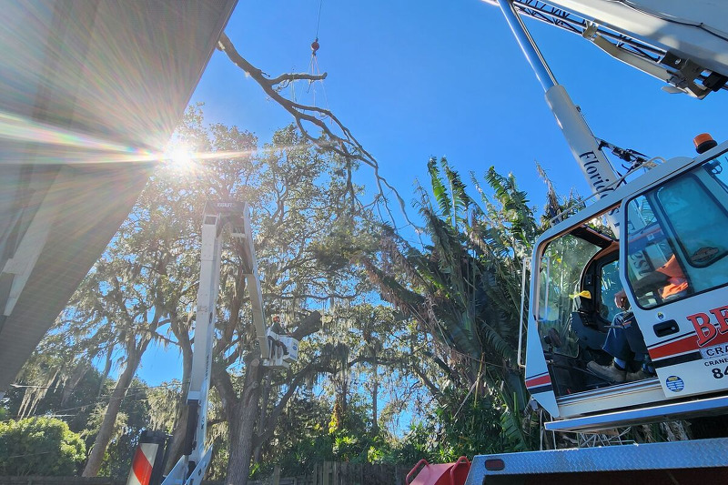 crane during tree removal in Merritt Island, Florida