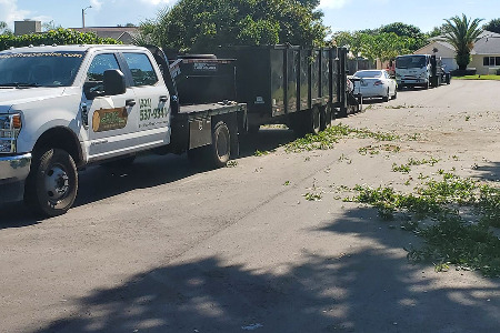 debris removal after tree service in Rockledge, Florida