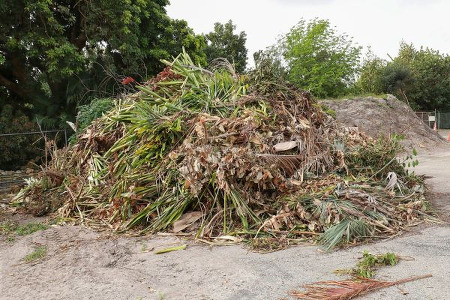 debris removal after tree service in Cocoa Beach, Florida