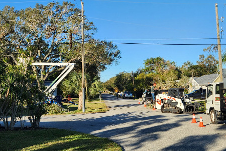 Tree Removal in Cocoa Beach, FL